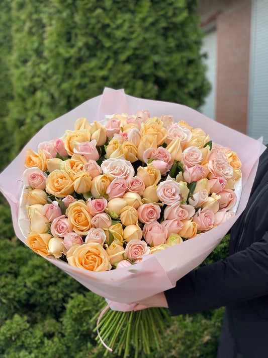 101 Rosen der Sorten Peach Avalanche und Kimberley