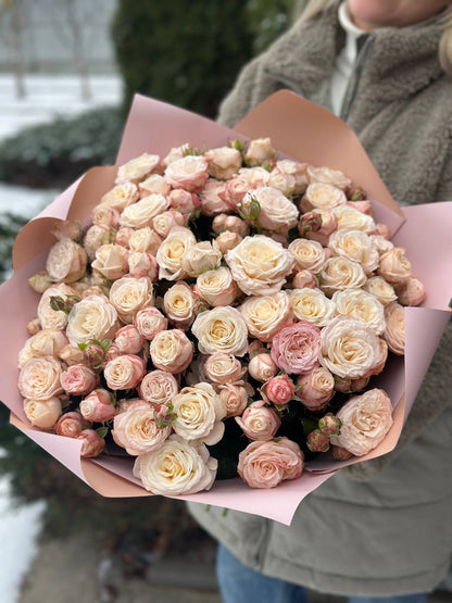 51 Pfingstrosenartige Rosen der Sorte Bombastic