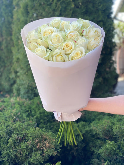 19 Rosen Sorte Avalanche