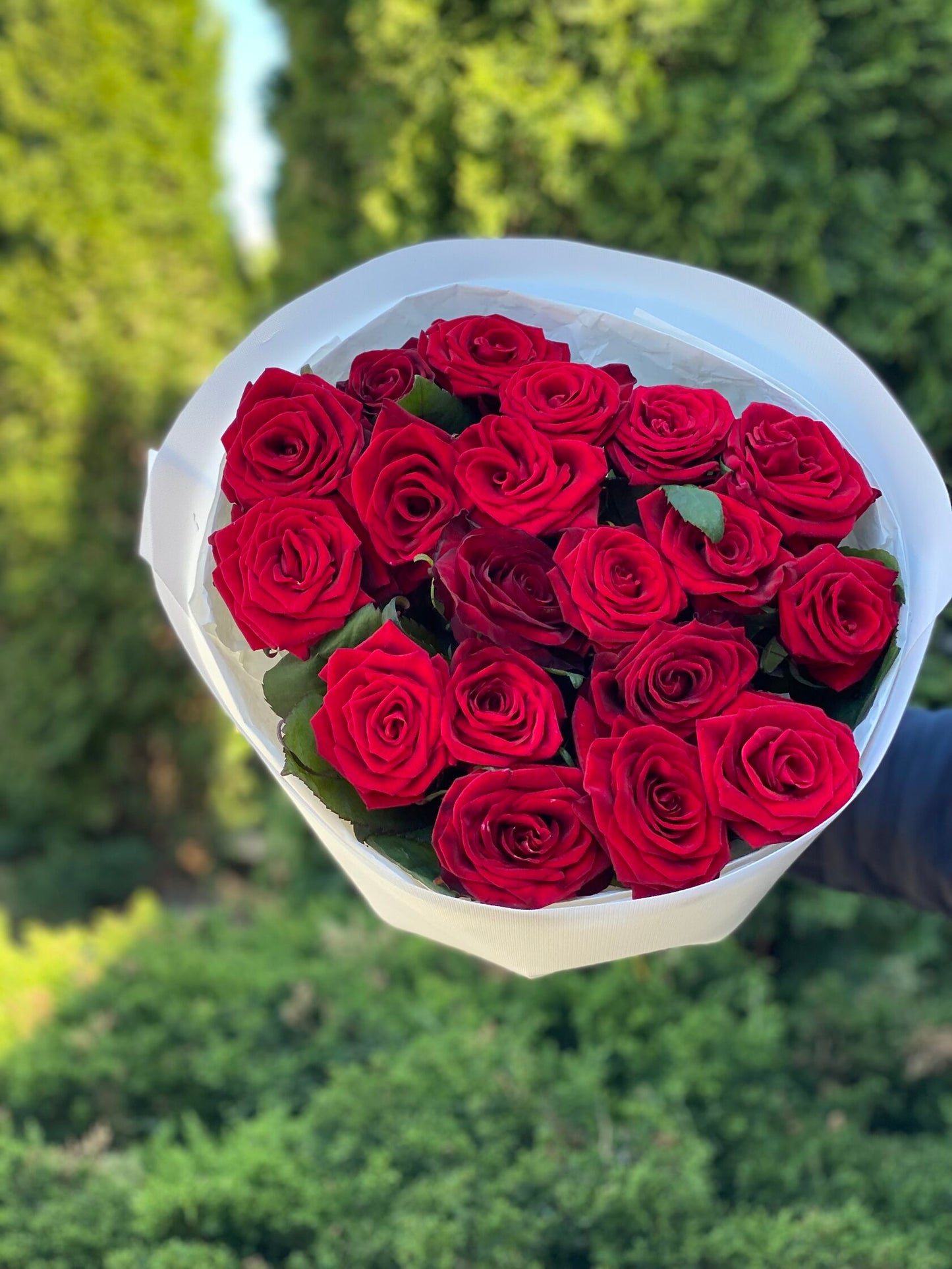 19 Rosen Sorte Grand Prix
