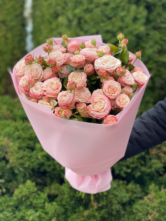 19 Strauß-Pfingstrosenrosen Sorte Madame Bombastic
