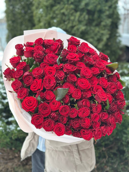 101 Rosen Sorte Prestige