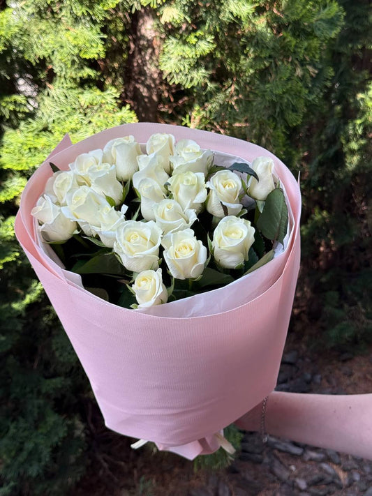 19 Rosen Sorte Beluga