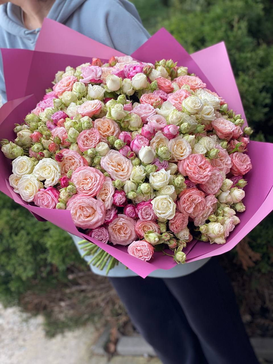 101 Rosen Sorte Bombastic gemischt