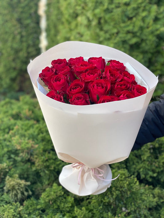 19 Rosen der Sorte Red Eagle
