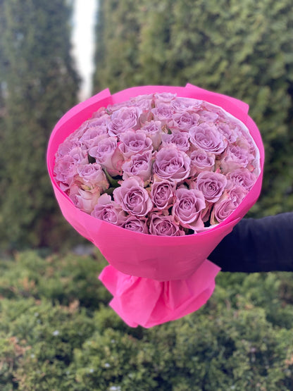 39 Roses Variety Purple Holland