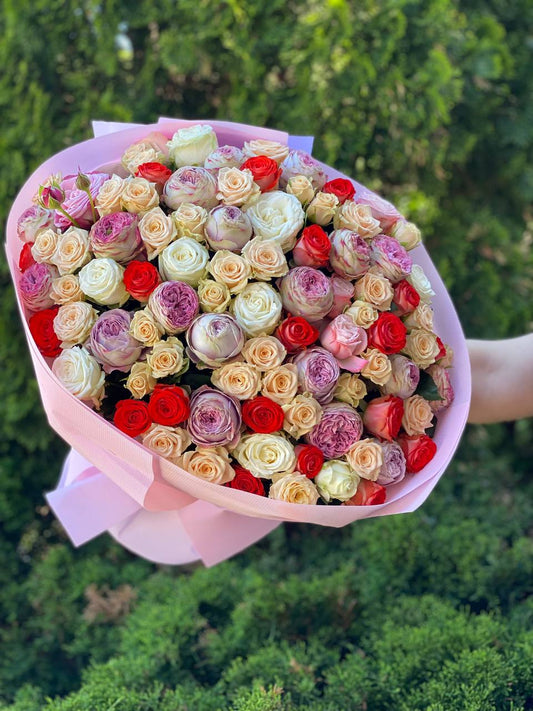 101 Pfingstrosenartige Rosen (Miss Bombastic, Bombastic, Lavendel und Orange)
