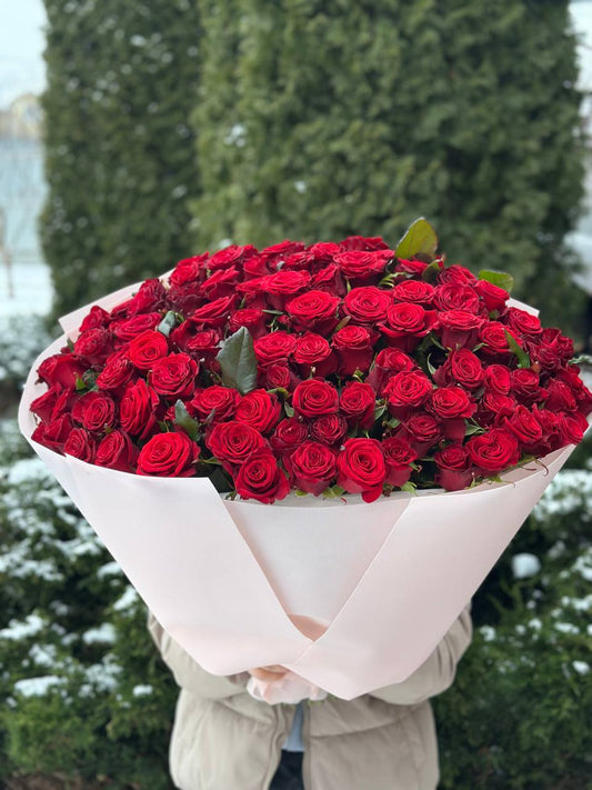 101 Rosen Sorte Prestige