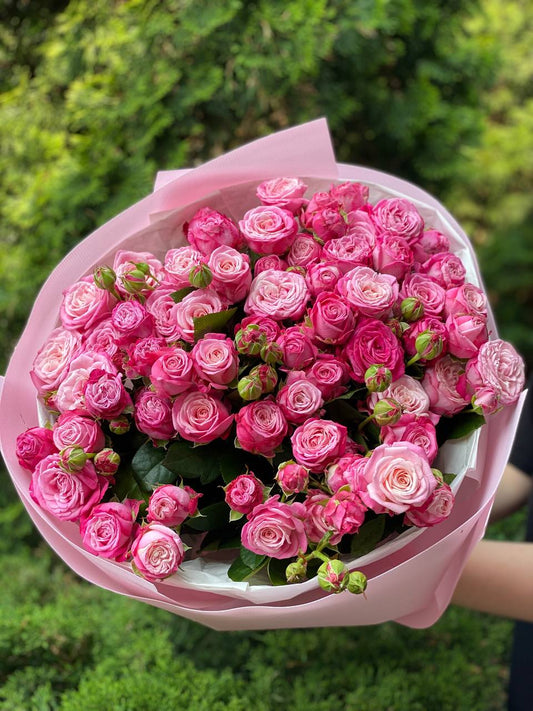 51 Pfingstrosenrosen der Sorte Lady Bombastic