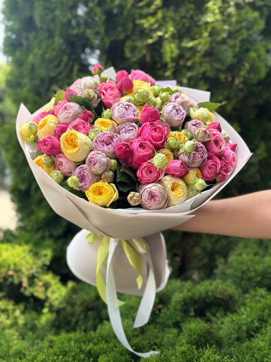 51 pfingstrosenähnliche Rosen (Lavendel, Light, Peony)