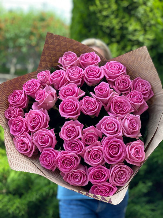 51 Rosen der Sorte Aqua