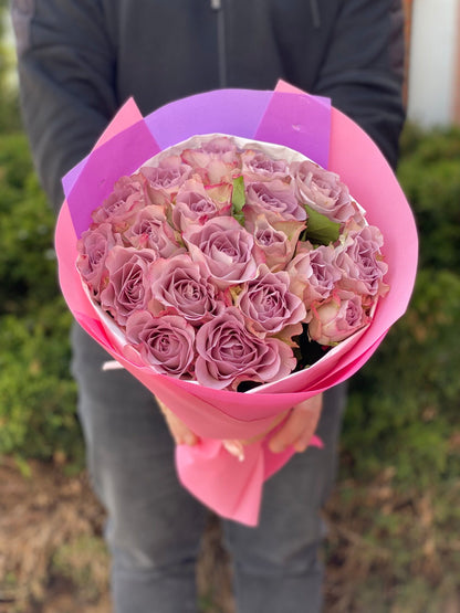 19 Rosen Sorte Violett Holland