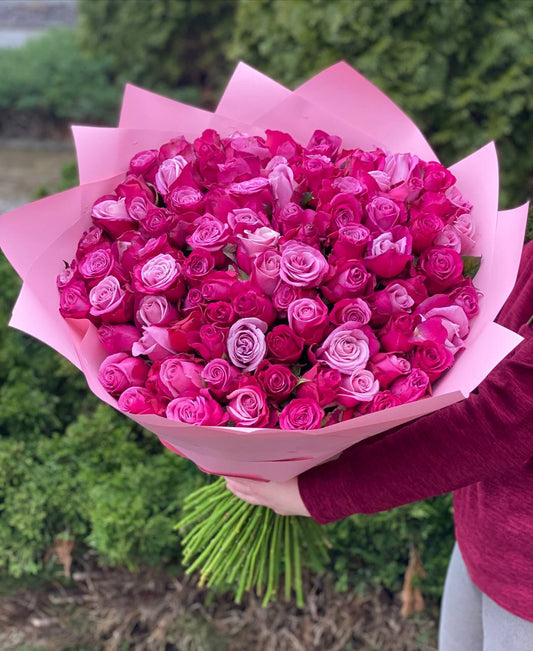 101 Rosen Sorte Prinz von Persien