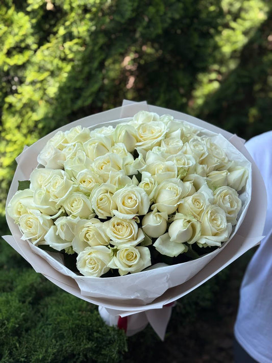 51 Rosen der Sorte Avalanche