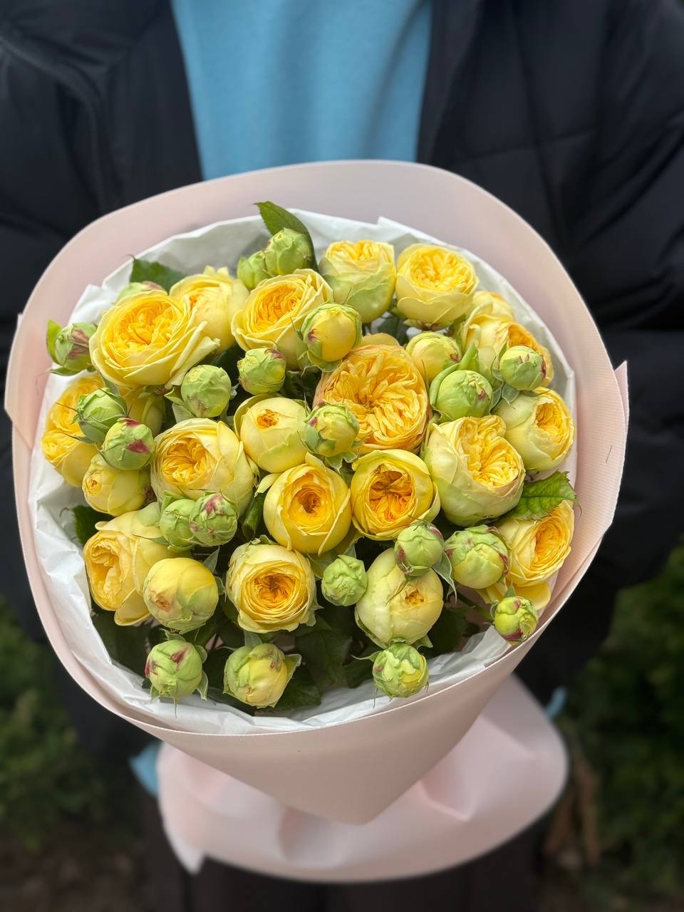 Peony Bubbles – 19 verzweigte Rosen