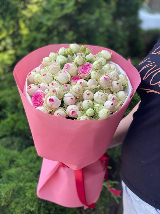 19 verzweigte pfingstrosenähnliche Rosen Sorte Gelato