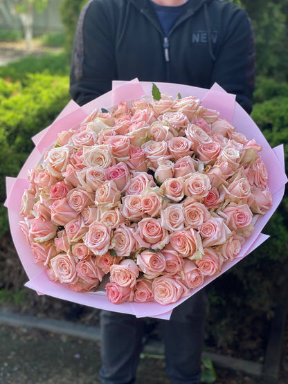 101 Rosen Sorte Kimberly