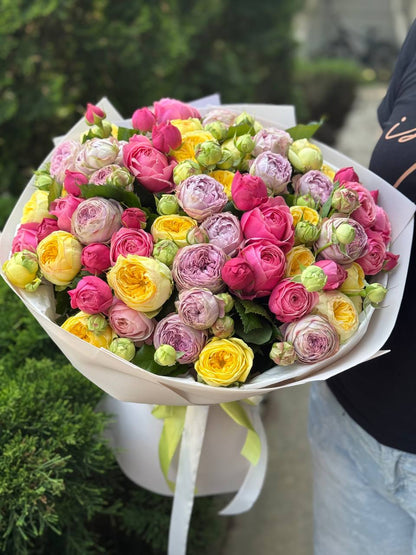 51 pfingstrosenähnliche Rosen (Lavendel, Light, Peony)