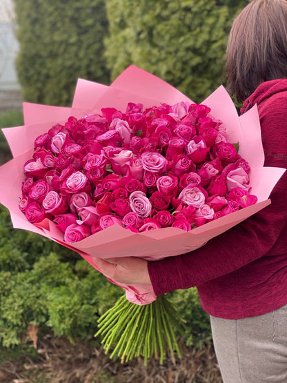 101 Rosen Sorte Prinz von Persien