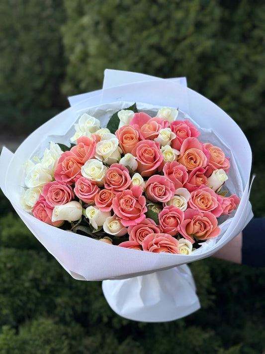 51 Rosen der Sorten Miss Piggy und Beluga