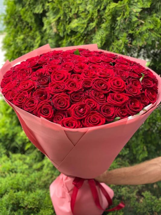 101 Rosen der Sorte Red Eagle