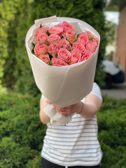 19 Rosen Holland Sorte Rosa