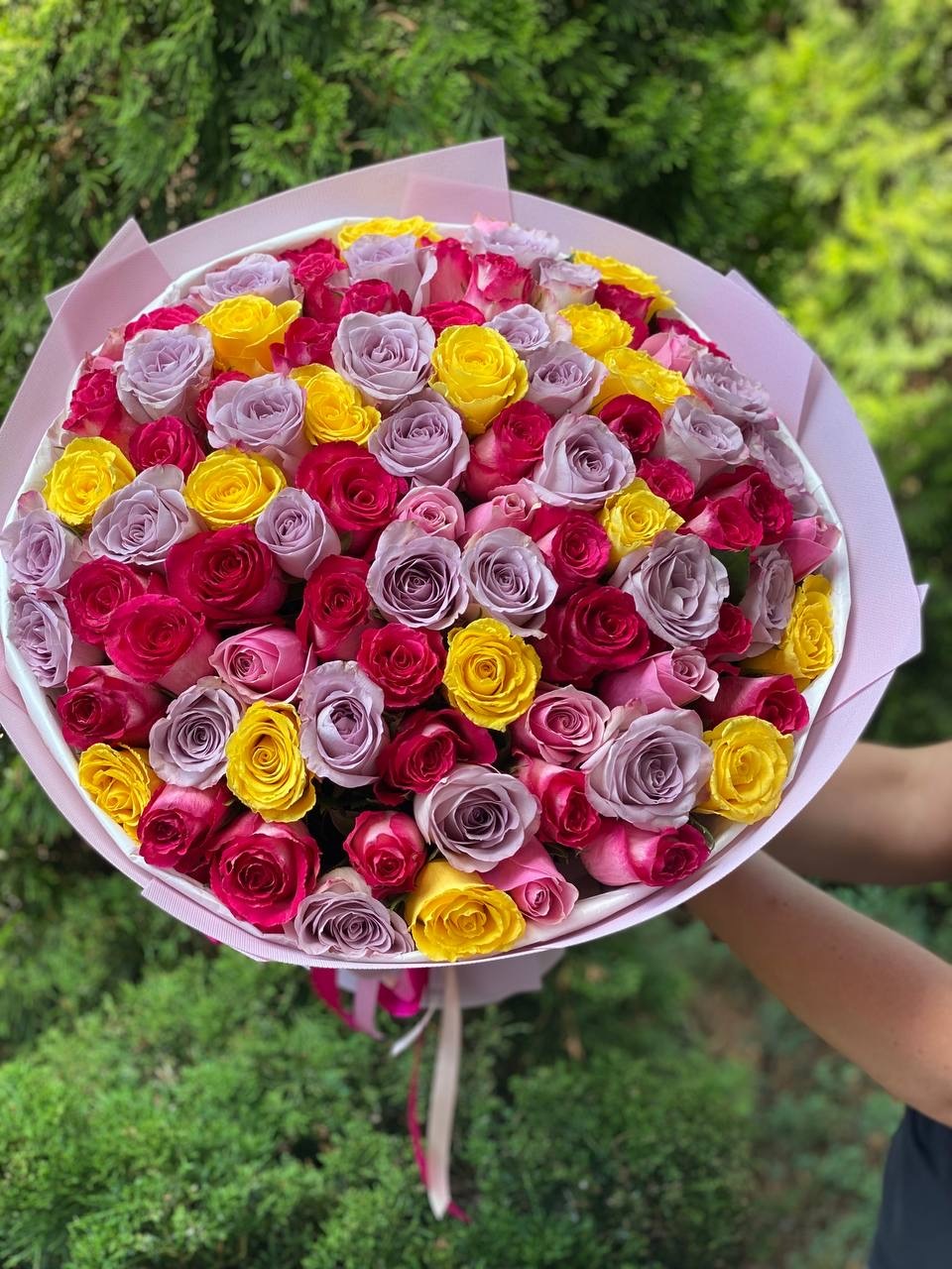 101 Rosen – Niederländische Mischung
