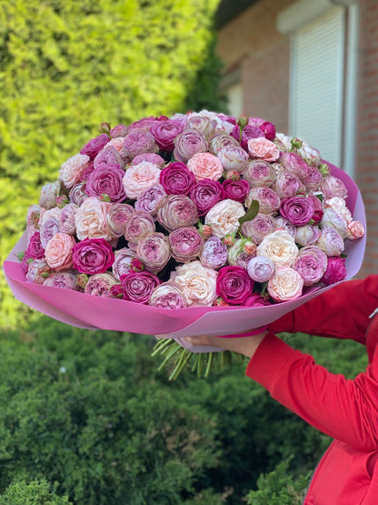 101 Pfingstrosenrosen Sorte Majestic, Bombastic und Lavendelfarben
