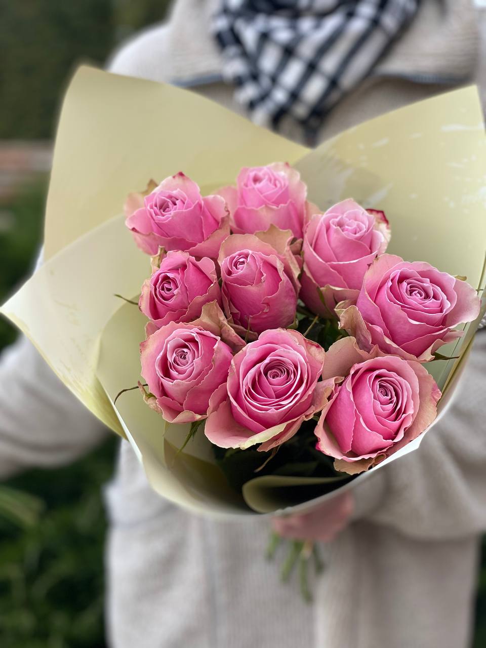 9 Rosen (Farbe Zartrosa) 50 cm