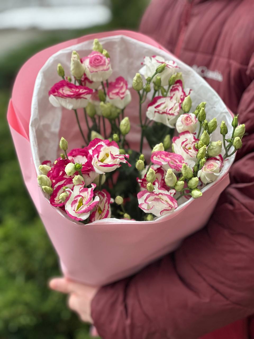 Еустома 9 гілочок біло-червоні (70 см)