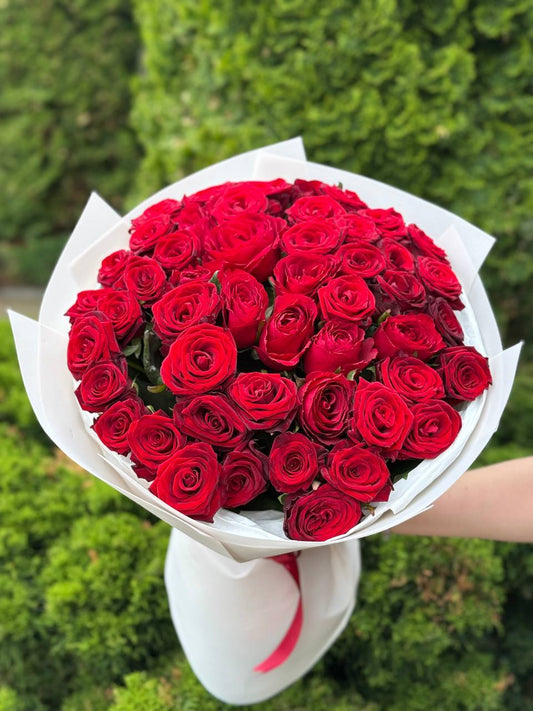 51 Rosen der Sorte Red Naomi