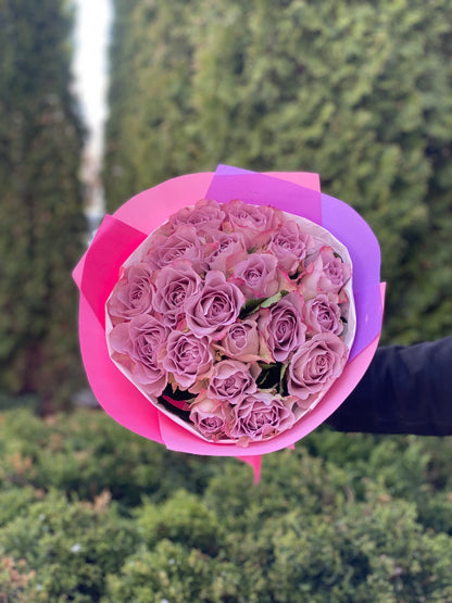 19 Rosen Sorte Violett Holland
