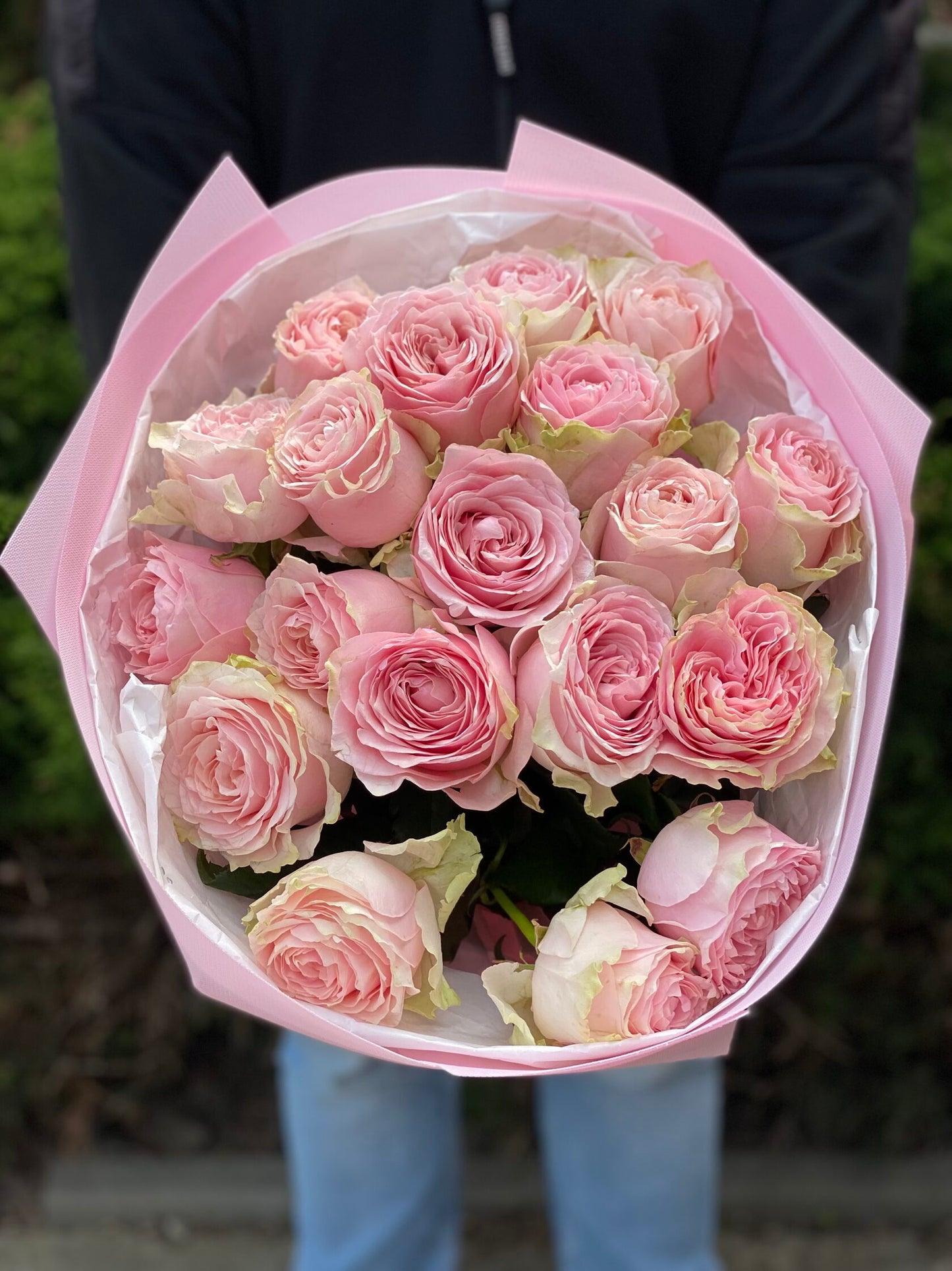 19 Rosen Sorte Country Spirit rosa Pfingstrosenrosen