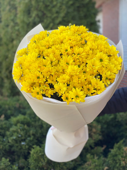 9 хризантем (колір жовтий ромашковидні )