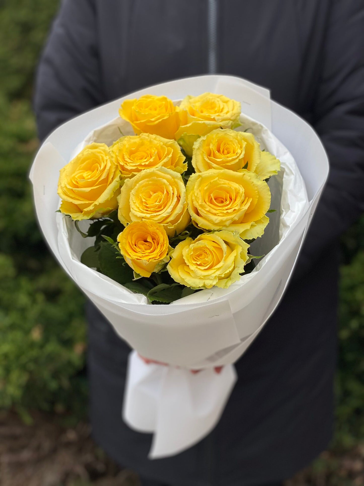 9 Rosen (Farbe Gelb) 50 cm