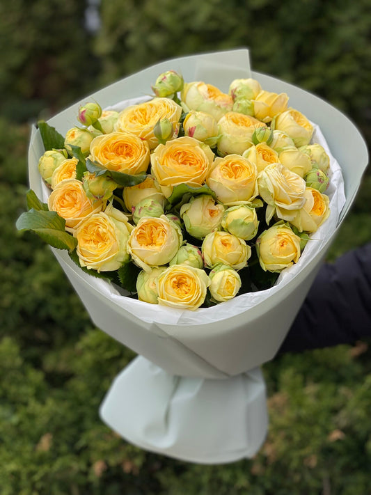 Peony Bubbles – 19 verzweigte Rosen