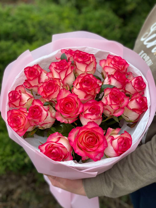 19 Rosen Sorte Jumilia