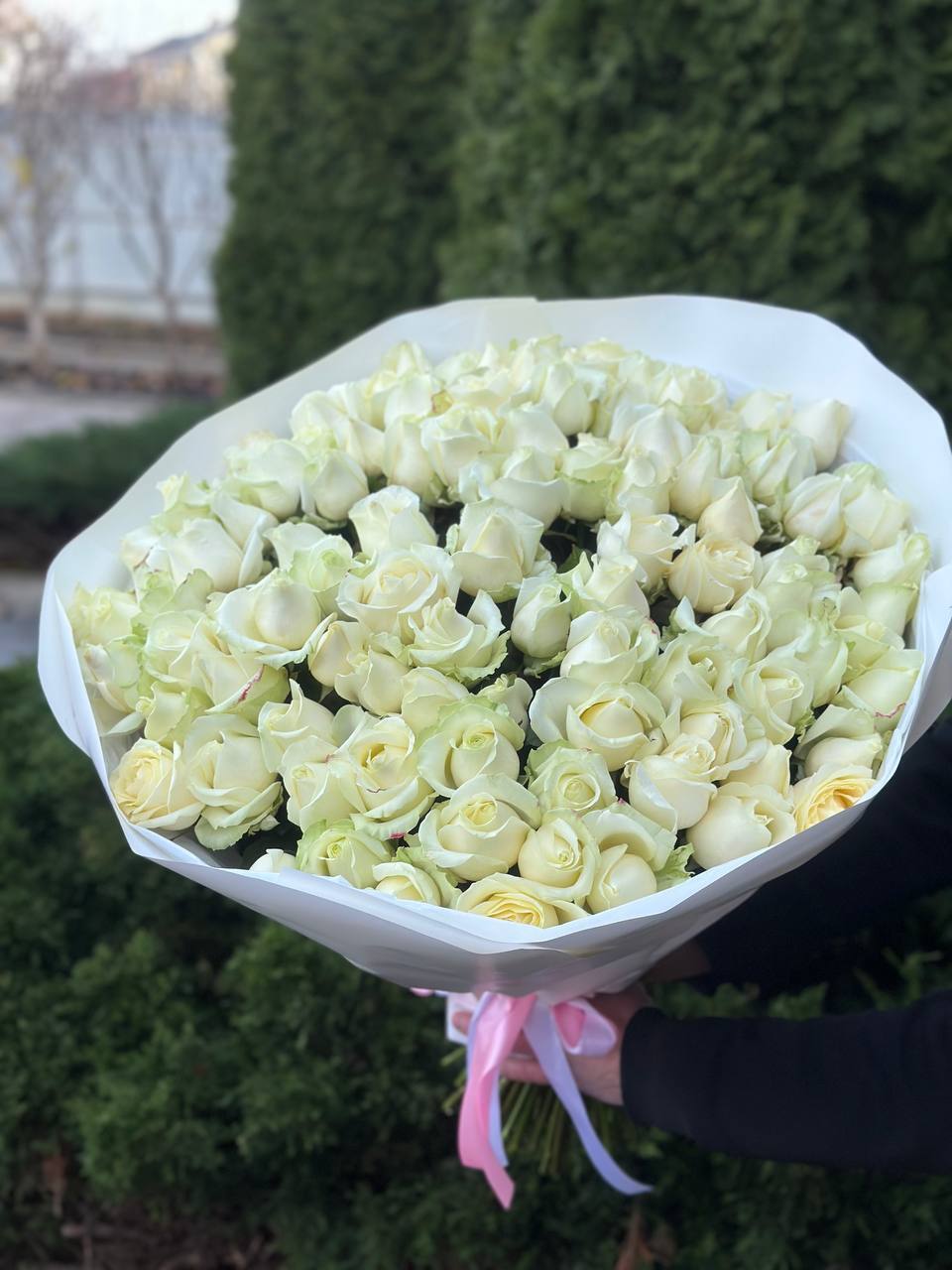 101 Rosen Sorte Avalanche