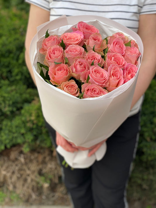 19 Rosen Holland Sorte Rosa