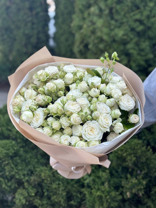 19 Strauß-Pfingstrosenrosen Sorte Miss Bombastic