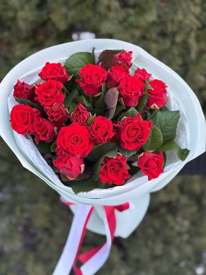 19 Rosen Sorte El Toro