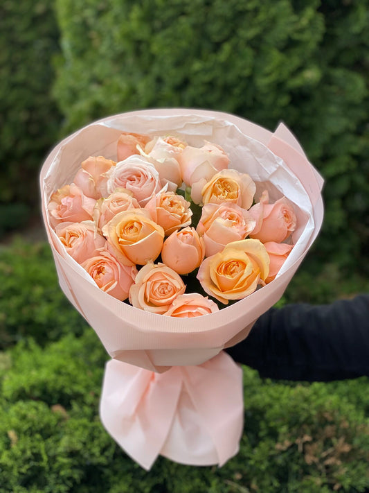 19 Rosen Sorte Ember Sun pudrige Pfingstrosenrosen