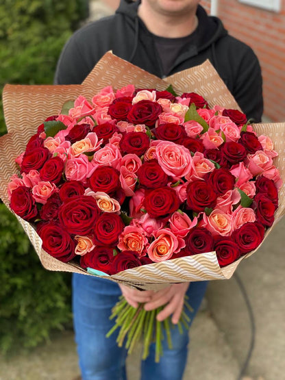 101 Rosen Sorte Miss Piggy und Rote