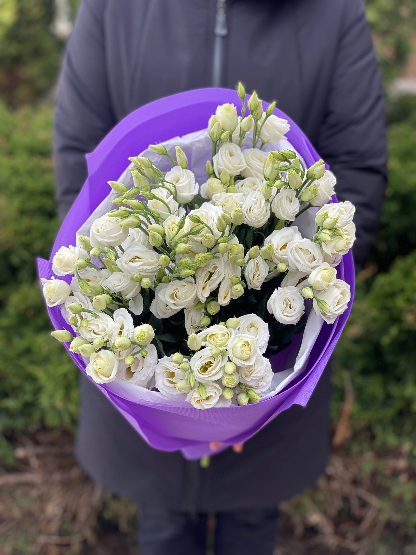 White eustoma 9 stems (70 cm)