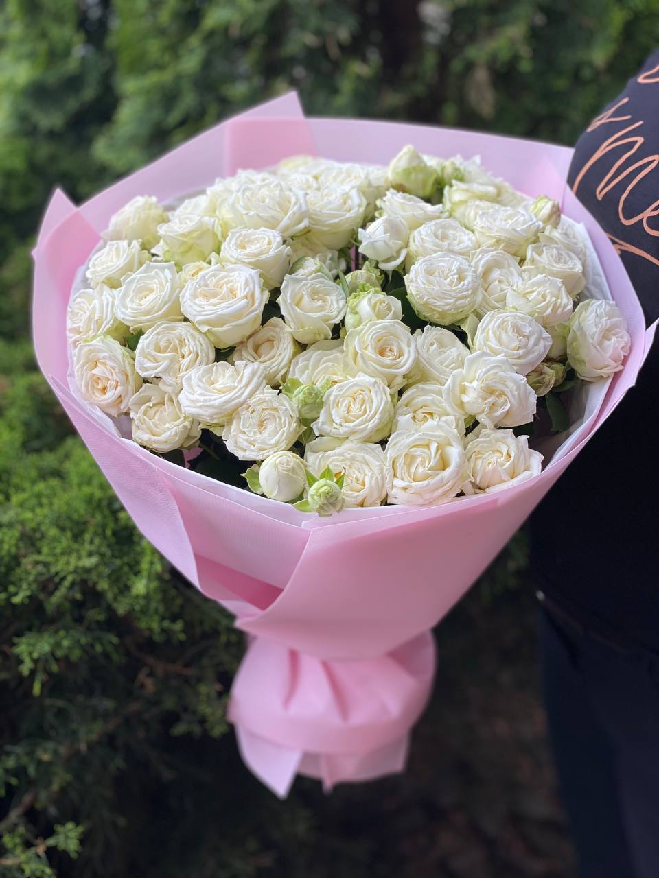 39 Strauß-Pfingstrosenrosen Sorte Miss Bombastic
