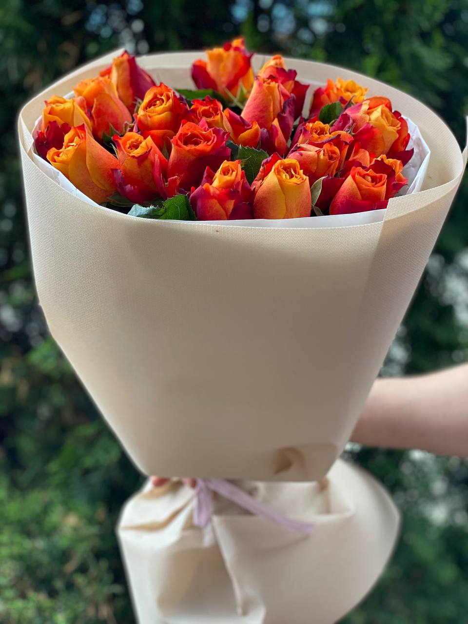 19 Rosen Sorte Holland Orange