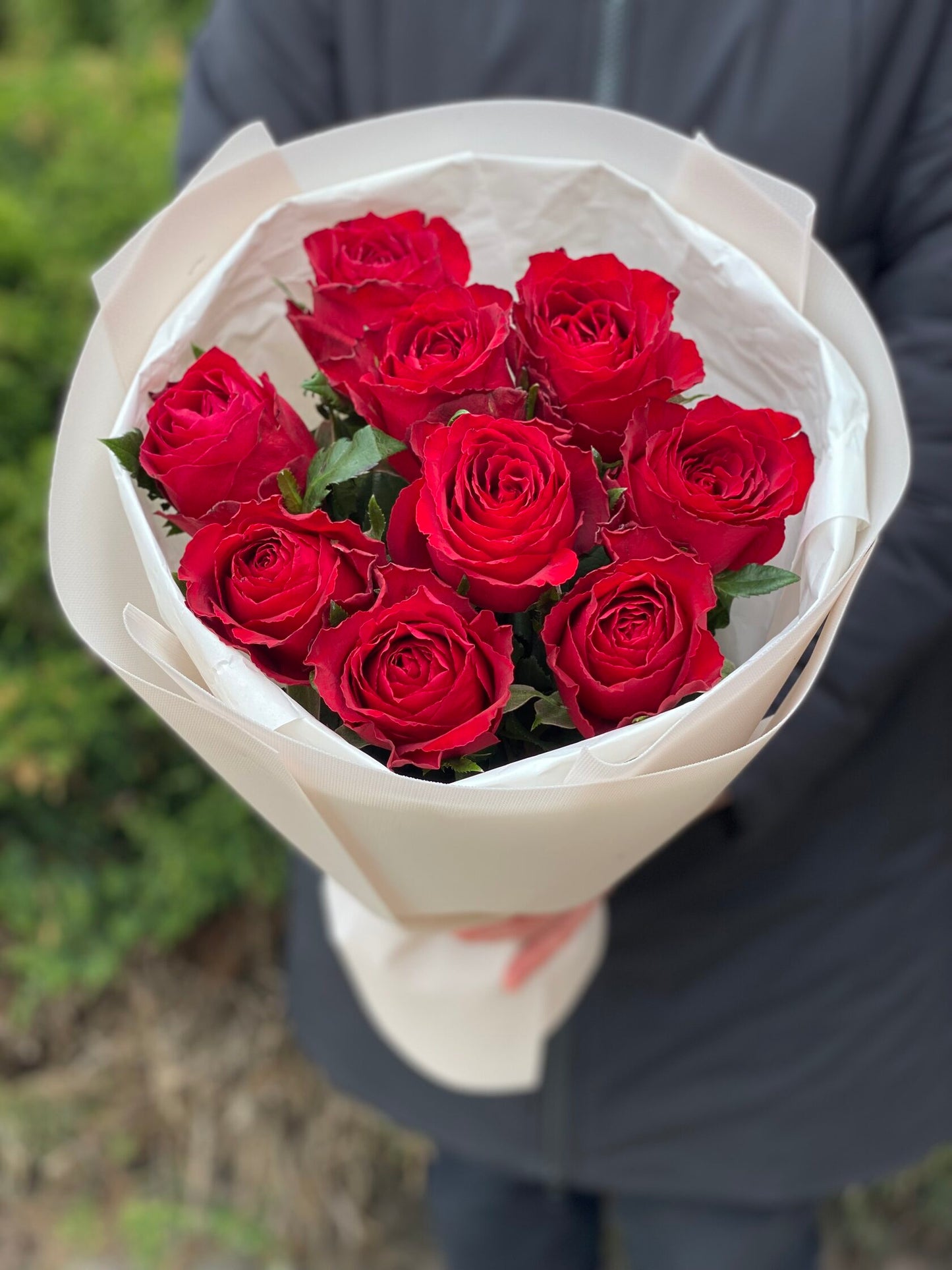 9 Rosen (Sorte Rote) 50 cm