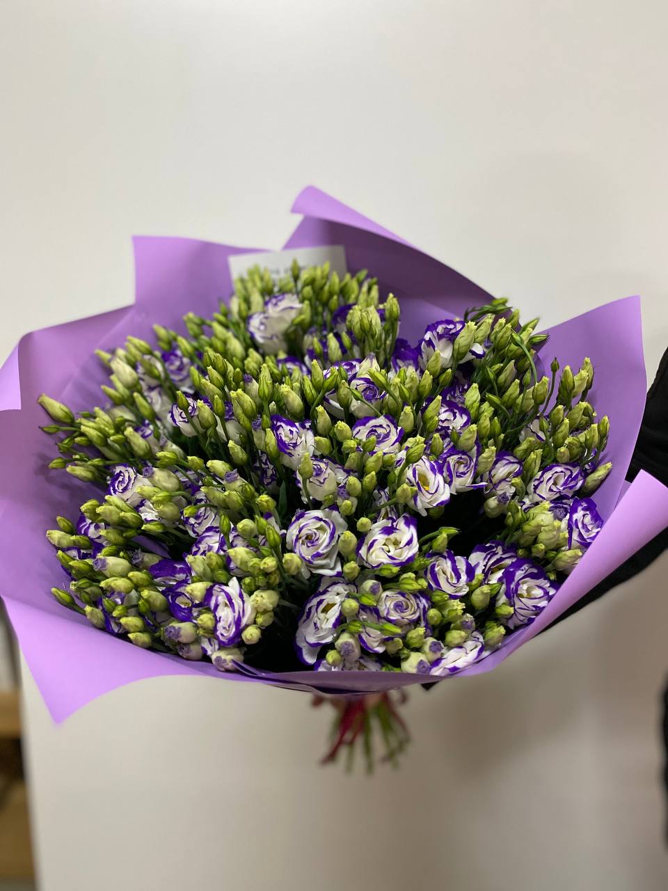 Еустома 19 гілочок 70 см (фіолетові)