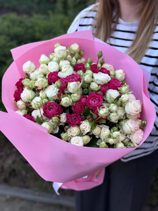 51 Pfingstrosenrosen der Sorten Miss Bombastic und Majestic
