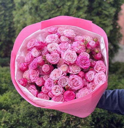 51 Pfingstrosenrosen der Sorte Lady Bombastic